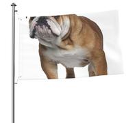 Mâts de drapeau de jardin personnalisés English-Bulldog, drapeaux de 90 x 60 cm avec œillets
