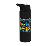 Mattel Hot Wheels Let's Race I Choose Different Car Type Stainless Steel Insulated Water Bottle