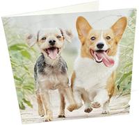 Maturi Carte d'anniversaire vierge avec inscription Happy Running Dogs