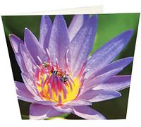 Maturi Carte d'anniversaire vierge carrée avec abeille et fleur
