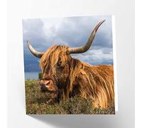 Maturi Carte de vœux vierge avec image de vache Highland