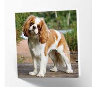 Maturi Carte de vœux vierge avec image du chien King Charles