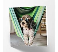 Maturi Carte de vœux vierge représentant un chien relaxant