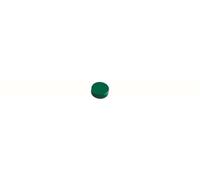 MAUL Aimants MAULpro résistance 2 kg 34 x 13 mm 20 pces 6178155 vert