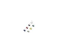 MAUL Pince Mauly Klemmer 16 mm – largeur de serrage 5 mm – boîte de 12, couleurs assorties