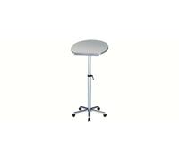 MAUL Poste de Travail Statique | Hauteur réglable en continu de 75 à 120 cm | Bureau Mobile pour Travailler en Position Assise ou Debout | Rangement Pratique pour Stylo et classeur | Gris