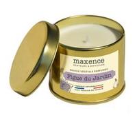 Maxence - Bougie parfumée cire végétale de soja - Figue du jardin