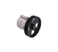 MAXGEAR Pompe hydraulique, direction MGP-2112 9637000980