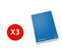 Maxi Hardbound Pigna Colors 02174670q - Stripe Q - Pack De 3 Cahiers Ass.