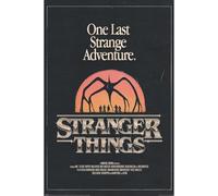 Maxi poster Stranger Things 5 (The Mind Flyer Poster) 91,5 cm x 61 cm, sous licence officielle Netflix, taille unique