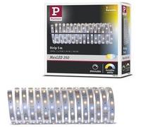 Paulmann MaxLED 79863 Ruban LED 250 avec 1 bande lumineuse 17,5 W 2700 K Blanc 5 m