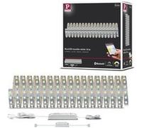Paulmann Ruban LED MaxLED 70565 – 10 m 24 V avec connecteur mâle, blanc chaud/neutre/jour