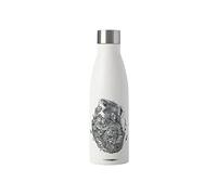 Maxwell & Williams Marini Ferlazzo Bouteille d'eau isotherme avec design Koala & Friends, acier inoxydable double paroi, blanc, 5 ml
