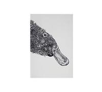Maxwell & Williams Serviette de Table 100% Coton, Imprimé Fleuri d'Ornithorynque, Collection Marini Ferlazzo, 50 x 70 cm - Noir et Blanc