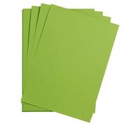 Maya paquet 25F 50x70cm 270g - Vert mousse