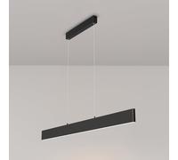 Maytoni Step lampe suspendue 2x30 W noir P010PL-L30B