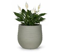 Mazovia Cache-Pot de Jardin, pour terrasse, Balcon et intérieur, 40x37x40 cm Terra M, Gris, Effet béton, 1 pièce