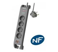 MCL SPN4140GA/19 multiprise 2 m 4 sortie(s) CA Intérieure Gris
