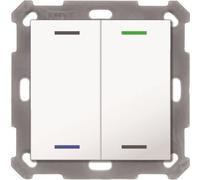 MDT KNX Bouton-poussoir Light 55 x 55 mm double RGBW, blanc pur brillant, neutre, 1 pièce.