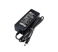 Mean Well GSM 60W 1.25A Adaptateur d'alimentation GSM60A48-P1J