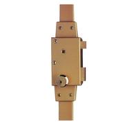 Mécanisme CAVITH 4572 A2P* verticale fouillot or droite ISEO 9704VFCA01.5