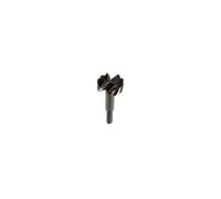 Mèche à façonner FORSTNER Woodmax D. 15 x Lu. 57 mm