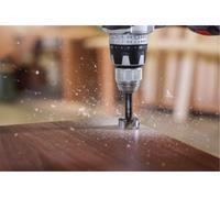 Mèches à bois Forstner DIN 7483G D.45mm L.90mm toothed edge tige-D.10mm Bosch