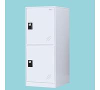 MECOLOR Petit casier Vertical avec Cadenas, Petit casier pour la Maison, la Salle de Gym, Armoire de Rangement pour Bureau, 2 ou 3 Niveaux (Full White, P2V)