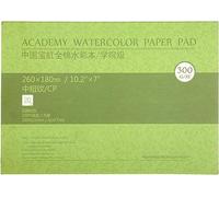 MEEDEN Carnet Aquarelle 26 x 18cm : 20 Feuilles de Carnet de Papier Aquarelle 100% Coton - Grain Fin - 300 gsm Bloc de Papier Aquarelle sans Acide pour Aquarelle Gouache Encre