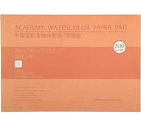 MEEDEN Carnet Aquarelle 26 x 18cm : 20 Feuilles de Carnet de Papier Aquarelle 100% Coton - Grain Satiné - 300 gsm Bloc de Papier Aquarelle sans Acide pour Aquarelle Gouache Encre