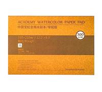 MEEDEN Carnet Aquarelle 31 x 21cm : 20 Feuilles de Carnet de Papier Aquarelle 100% Coton - Grain Torchon - 300 gsm Bloc de Papier Aquarelle sans Acide pour Aquarelle Gouache Encre