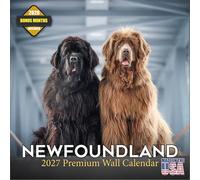 MegaCalendars Calendrier mural 2026 - 16 mois de race de chien - Grands blocs quotidiens, papier épais sans bavure, fabriqué aux États-Unis