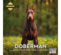MegaCalendars Calendrier mural Doberman 2026 - 16 mois de race de chien - Grands blocs quotidiens, papier épais sans bavure, fabriqué aux États-Unis