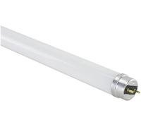 Megaman MM54254 LED CEE F (A - G) G13 forme de tube 9 W blanc neutre (Ø x L) 28 mm x 603 mm non dimmable 1 pc(s)