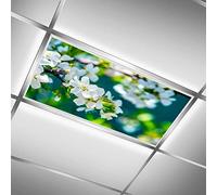 MEHOM Cache-lampes fluorescentes pour salle de ureau, plafonnier LED à fleurs - Film décoratif - 61 x 122 cm