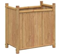 Meilleures Jardinière - SHOP - Pot de fleurs-Bac à fleurs 50x30x50 cm bambou SSD2033315