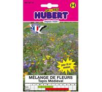 Mélange de fleurs médiéval - Sachet de 12 g - Pour 10 m² - Semences reproductibles - Non traitées - Bleuet - Lin