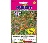 Mélange de graines de fleurs jachère fleurie - 12 g - Pour 10 m² - H. 40-60 cm - Semences reproductibles - Non traitées