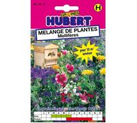 Mélange de graines de fleurs mellifères - Sachet de 12 g - Pour 10 m² - Hauteur 30-100 cm - Semences reproductibles
