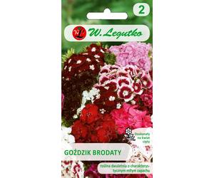 Mélange de graines d'œillet barbu, 1g