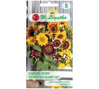 Mélange de tournesols de taille moyenne à grande, à fleur unique, destinés à la coupe
