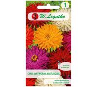 Mélange de zinnias et de cactus