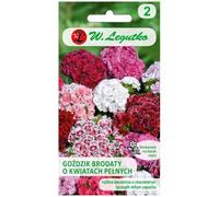 Mélange d'œillets barbus à fleurs doubles