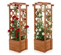 Melko Set de 2 jardinières de Plantes grimpantes avec pergola Colonne de Roses en Treillis en Forme d'arche de Rose