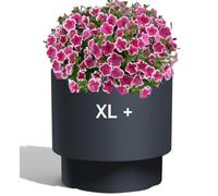 MELTOM Pot de Fleurs H 37 cm Ø 40 cm Rond Anthracite Mat avec Bac Intérieur | Grand pot intérieur et extérieur · rond mat moderne sur socle · bac amovible 20 L à poignées · sans trou · 40 L · lavable