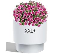 MELTOM Pot de Fleurs H 44 cm Ø 47 cm Rond Blanc Mat avec Bac Intérieur | Grand pot intérieur et extérieur · rond mat moderne sur socle · bac amovible 31 L à poignées · sans trou · 69 L · lavable