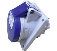 Mennekes Prise murale femelle CEE TwinContact 1632 16 A 3 pôles 230 V 1 pièce