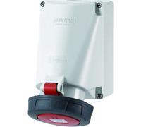 Mennekes Prise Murale CEE - 136A