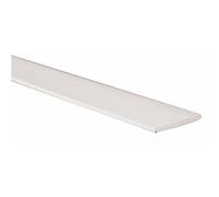 Méplat aluminium - largeur 20 mm - satiné argent - 4 m DUVAL