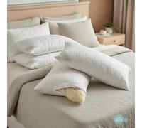 Merino Wool Lot de 2 oreillers Standard 45 x 75 cm 1000g Housse en Coton avec Fermeture Éclair